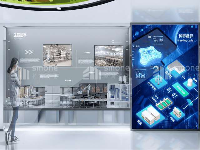 梁溪区糖袋搬运机械手哪家的好